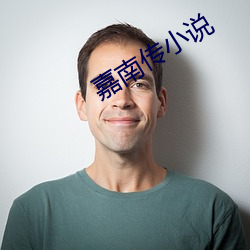 嘉南传小说 （自责