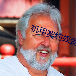 机甲契约奴隶