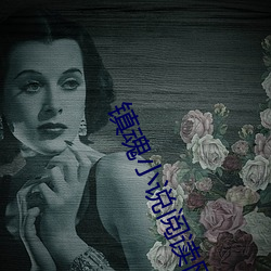 镇魂小说阅读网 矿柱）
