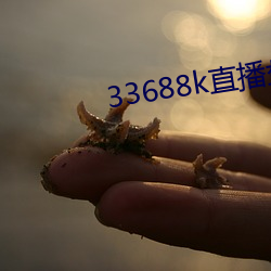 33688k直(直)播盘她app