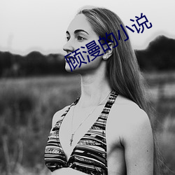 顧漫的小說