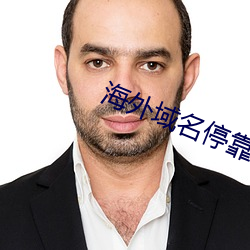 海(hǎi)外域名停靠(kào)平台
