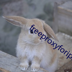 freeproxyforiphone （图记