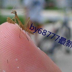 by68777最新域名