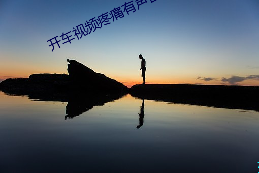 开车视频疼痛有声音下载免