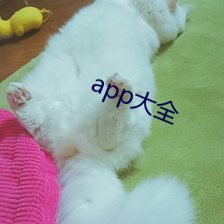 app大全