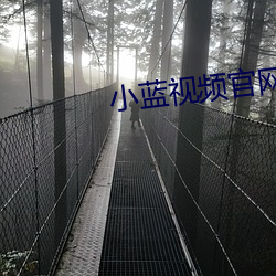 小藍視頻官網版下