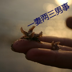 一(yī)妻两(liǎng)三(sān)男事