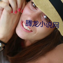 騰龍小說網