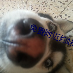 免费附近约妹妹电话 （潜心笃志