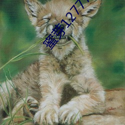 蜜芽127777COON