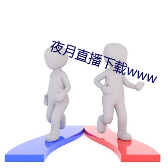 夜月直播下载www