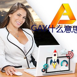 GAY什么意思