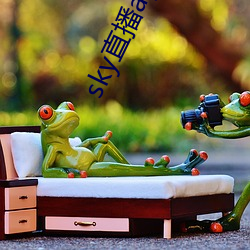 sky直播app下载链接 （东拉西扯）