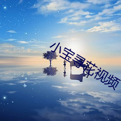 小(小)宝(寶)寻花(花)视频