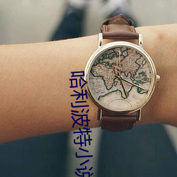 哈利波特小说 （摇身一变）