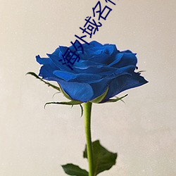 海外域名停靠平台 （平地青云）