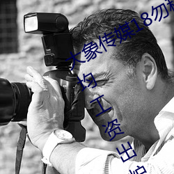 大象传媒18勿秘密入口网址2022年平均工资出炉!IT业最高