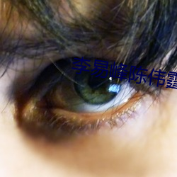 李(李)易峰陈伟霆CP