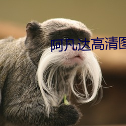 AG真人平台(中国)官方网站
