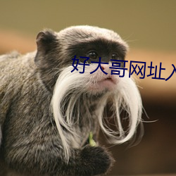 米乐M6·(中国)官方网站