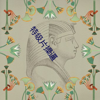特级片操(操)逼