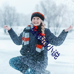 桩桩(樁)的(的)小说