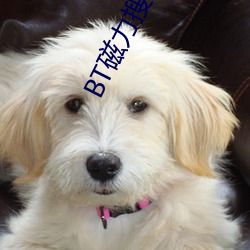 BT磁力搜索 ��水漫金山）