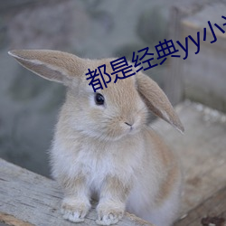 都是经典yy小说排(排)行榜