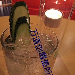 萬道劍尊最新章節