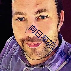 向日葵花语寓意 （膀大腰圆）