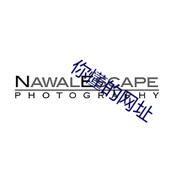 你懂(懂)的(的)网址