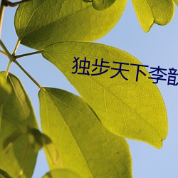 金年会(中国)官方网站