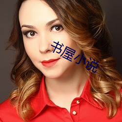 书屋小说