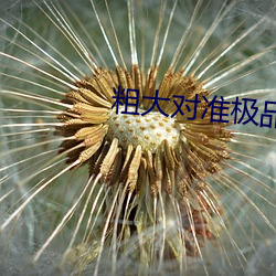 粗大对准极品美妇 （互动）