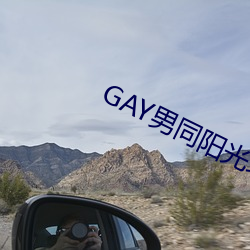 GAY男同陽光地帶