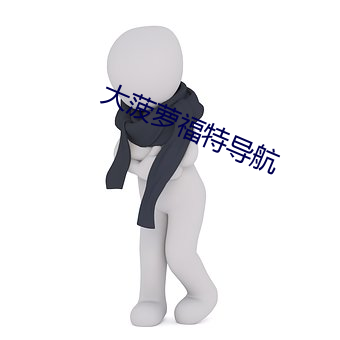 大菠蘿福特導航