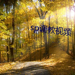 sp调教视频