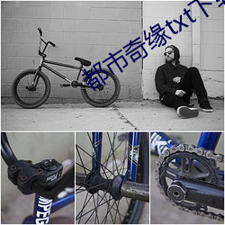 都市奇缘txt下载