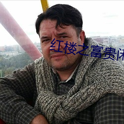 红楼之富贵闲人 （闲言闲语）