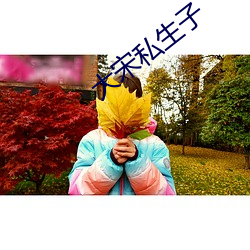大宋(宋)私生子