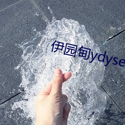 伊园甸ydyse