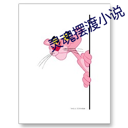 灵魂(魂)摆渡小说(說)