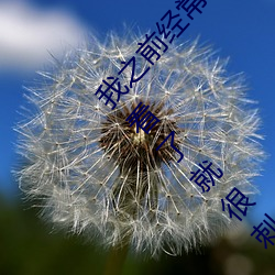 我之(之)前经？慈(日)本黄色片看里面男主(主)角舔(舔)女(女)人肛(肛)门(門)看(看)了就很(很)刺