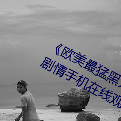 《歐美最猛黑人xxxx黑人猛交》國語劇情手機在線觀看