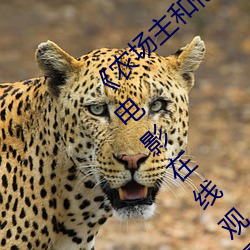 《农(nóng)场主和他(tā)的三(sān)个女(nǚ)儿(ér)k8s经典(diǎn)》 高清手机电影在线观看