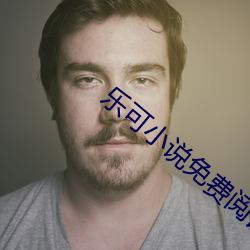 乐可小说免费阅读