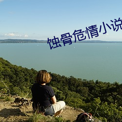 蚀骨危情小说 （交心）