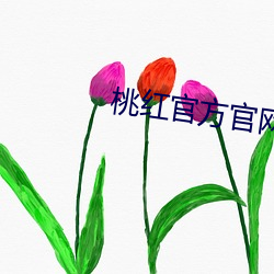 桃红官方官网