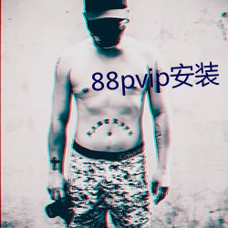 88pvip安装 （独木难支）